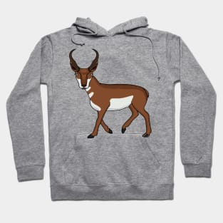 Pronghorn antelope cartoon illustration Hoodie